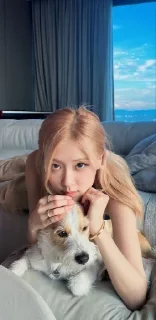 ♥️ emoji ~ Rose Blackpink for Madina Telegram sticker 10 of 41