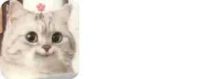 😺 emoji 🍿𝕄𝕚𝕟𝕚 𝕂𝕒𝕟𝕘𝕤 🍿 @ItsMeSithija Telegram sticker 5 of 81