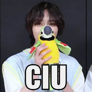 🦜 emoji 🏩  •   ﾟ  ⓘ Zeta's @pBamgyu  ׅ  ۫ 🗯️  ୧  ⊹  ֹ 𝅼 Telegram sticker 11 of 64