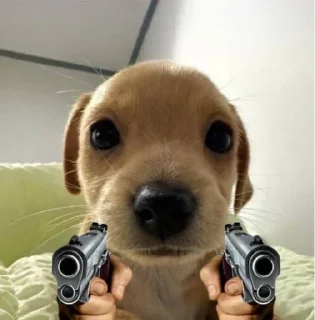 ⚱ emoji Woof Telegram sticker 24 of 26