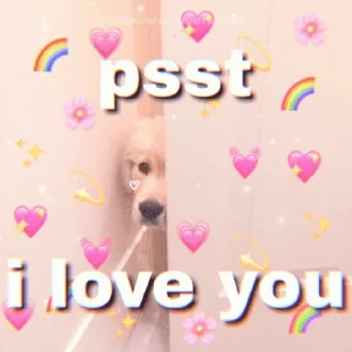 🥺 emoji bucin @javachjp Telegram sticker 5 of 18