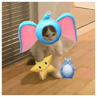 😀 emoji skin kucing Telegram sticker 23 of 29