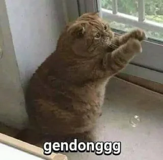 😩 emoji Kucing Telegram sticker 21 of 21