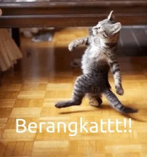 🚶 emoji Kucing Telegram sticker 17 of 21