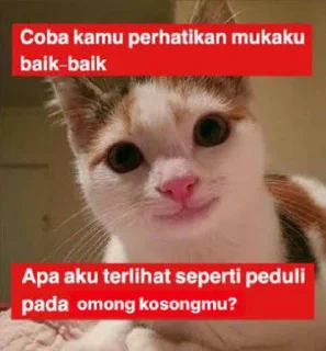 😁 emoji Kucing Telegram sticker 13 of 21