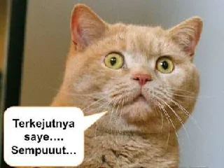 😱 emoji Kucing Telegram sticker 14 of 21
