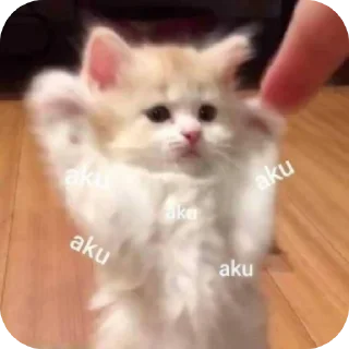 Sticker from alice lucuu