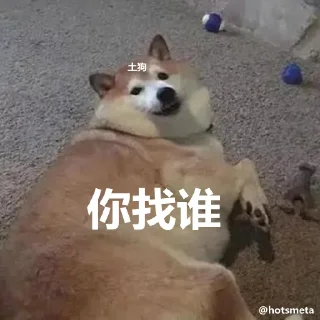 🥴 emoji @hotsmeta 社区 Telegram sticker 15 of 24