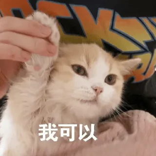 ❤️ emoji 小猫咪    @xiaoyuzaicc Telegram sticker 8 of 120