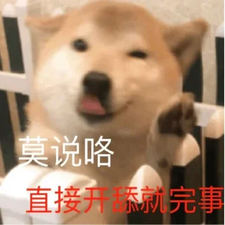 🐱 emoji 猫猫 更多表情👉 @emo315 Telegram sticker 11 of 91