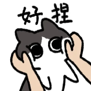 😋 emoji BACO猫猫 Telegram sticker 23 of 24