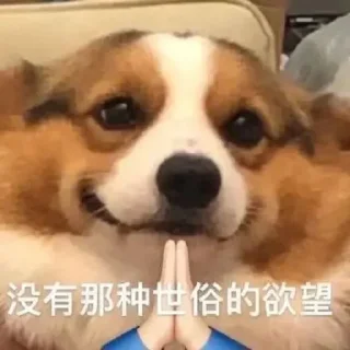 🐱 emoji 猫猫 更多表情👉 @emo315 Telegram sticker 16 of 91