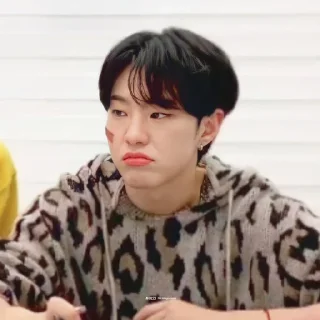 🐯 emoji KWON SOONYOUNG Telegram sticker 7 of 76