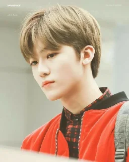 🐰 emoji jaemin Telegram sticker 7 of 7