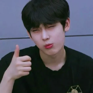 🍀 emoji Sunoo Telegram sticker 13 of 24