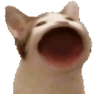 😮 emoji 🇮🇳⎯⃚꯭፝֟֗🥂*𝐏𝐀𝐘𝐀𝐋*𝆺꯭𝅥༎𓆪⋆🔥's video pack (@Himawari_Robot) Telegram sticker 11 of 50