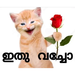 Sticker from Minnal 444 vol 1