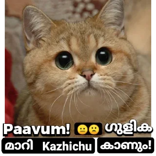 😂 emoji Minnal 444 vol 1 Telegram sticker 16 of 30