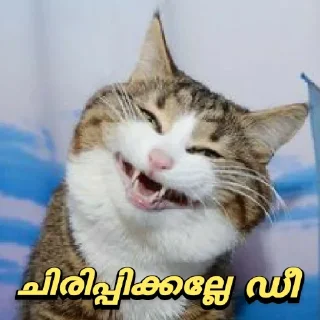 😆 emoji Minnal 444 vol 1 Telegram sticker 21 of 30