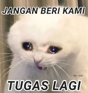 🌟 emoji Gula Kapas 📌 pack by @QuotLyBot Telegram sticker 12 of 47