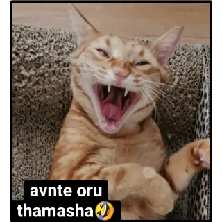 😂 emoji Minnal 444 vol 1 Telegram sticker 15 of 30