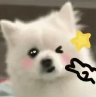 ⭐️ emoji Doggie cutes by @ania_ww Telegram sticker 14 of 24