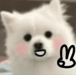 ✌️ emoji Doggie cutes by @ania_ww Telegram sticker 6 of 24