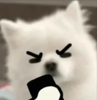 📱 emoji Doggie cutes by @ania_ww Telegram sticker 16 of 24