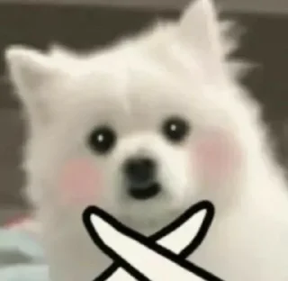🙅‍♀ emoji Doggie cutes by @ania_ww Telegram sticker 7 of 24