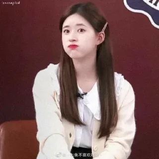 🐻 emoji Zhao lusi -@stkrrrndm Telegram sticker 17 of 18