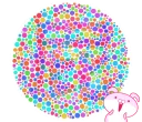 🤓 emoji 你有色盲的問題嗎? Telegram sticker 15 of 40