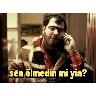 😀 emoji Recep İvedik Telegram sticker 16 of 30