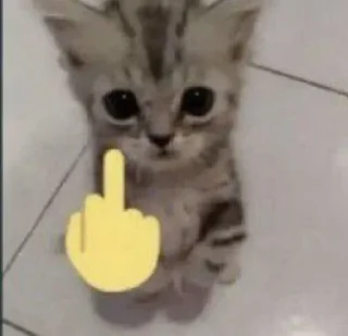 🖕 emoji nowa ctiker Telegram sticker 9 of 10