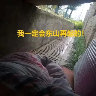 Sticker from 金狗社区专用