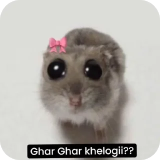 ✋ emoji 『𝐀𝐊𝐒』—͟͟͞͞ 𝐏𝐫𝐢𝐧𝐜𝐞 𝐕𝐞𝐠𝐞𝐭𝐚〄's kang pack Telegram sticker 6 of 33