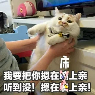 😬 emoji 骗子曝光频道 @AG789 Telegram sticker 17 of 73