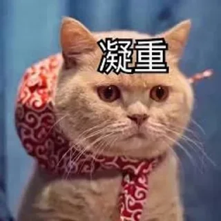 😕 emoji 骗子曝光频道 @AG789 Telegram sticker 16 of 73