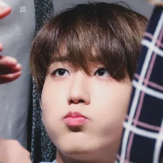 🥯 emoji -ˏ🌷: Hᥲᥒ jι᥉ᥙᥒg bᥡ @nahjisung Telegram sticker 19 of 114