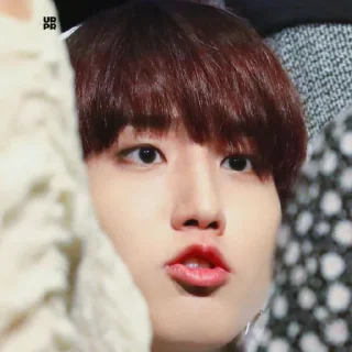 🥯 emoji -ˏ🌷: Hᥲᥒ jι᥉ᥙᥒg bᥡ @nahjisung Telegram sticker 18 of 114