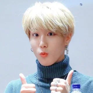 🥯 emoji -ˏ🌷: Hᥲᥒ jι᥉ᥙᥒg bᥡ @nahjisung Telegram sticker 24 of 114
