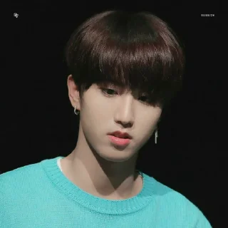 🥯 emoji -ˏ🌷: Hᥲᥒ jι᥉ᥙᥒg bᥡ @nahjisung Telegram sticker 16 of 114