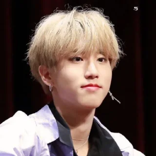 🥯 emoji -ˏ🌷: Hᥲᥒ jι᥉ᥙᥒg bᥡ @nahjisung Telegram sticker 8 of 114