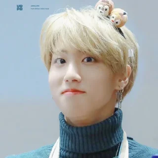 🥯 emoji -ˏ🌷: Hᥲᥒ jι᥉ᥙᥒg bᥡ @nahjisung Telegram sticker 22 of 114