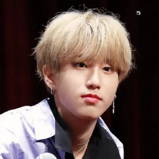 🥯 emoji -ˏ🌷: Hᥲᥒ jι᥉ᥙᥒg bᥡ @nahjisung Telegram sticker 9 of 114