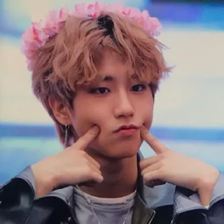 🥯 emoji -ˏ🌷: Hᥲᥒ jι᥉ᥙᥒg bᥡ @nahjisung Telegram sticker 11 of 114