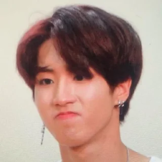 🥯 emoji -ˏ🌷: Hᥲᥒ jι᥉ᥙᥒg bᥡ @nahjisung Telegram sticker 20 of 114