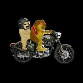 🏍 emoji ᵃᵒᶜ᭄๑𝑴𝒊𝒌𝒌𝒖 .°•♡𓂃's sticker pack (@Mikasa_Ackr_bot) 1 Telegram sticker 7 of 120
