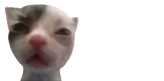 😕 emoji 🐈 ʙᴀʙʏ ᴋɪᴛᴛʏ @punithgowdastickersin Telegram sticker 19 of 120
