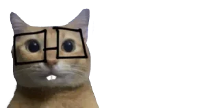 🤓 emoji 🐈 ʙᴀʙʏ ᴋɪᴛᴛʏ @punithgowdastickersin Telegram sticker 23 of 120