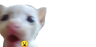😮 emoji 🐈 ʙᴀʙʏ ᴋɪᴛᴛʏ @punithgowdastickersin Telegram sticker 20 of 120